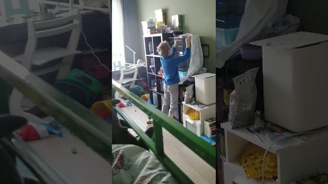 Мой попугайчик трансляция смотреть онлайн