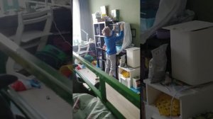 Мой попугайчик трансляция