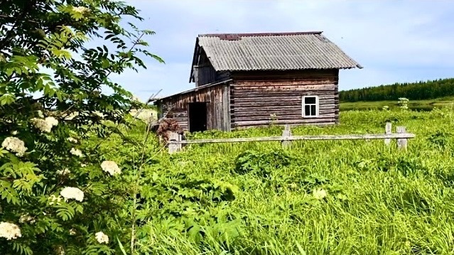 Восстанавливаем заброшенную избу у таежной речки. Наловил монстров. История дома. Часть 1. смотреть онлайн