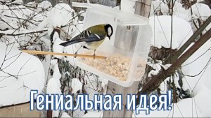 Почему я Раньше до этого не додумался, Как сделать Кормушку для птиц за 3 минуты!