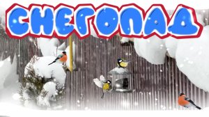 СНЕГОПАД