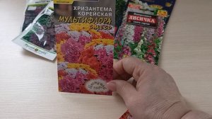 Мои планы посева на январь месяц.17.01.2026