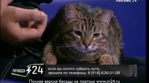 Кто такой Максим Никулица? Цирк и журналистика