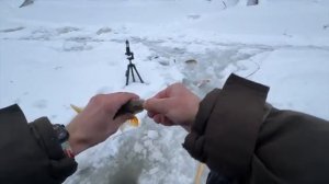 НАШЁЛ И НАЛОВИЛ ЛЕЩА ПОКА ВСЕ КУРИЛИ! РАССКАЗАЛ СЕКРЕТЫ ПОИСКА! РЫБАЛКА С НОЧЁВКОЙ!