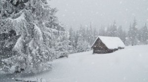 Заплутавшее счастье . Поёт Валентина Дробышева