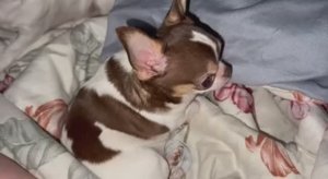 Всем наидобрейшего, субботнего утречка.