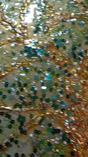 пано ювелирное. дерево жизни. из страх бисера пайеток и камней натуральных. диаметр 45 см