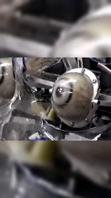 Ты не поверишь, как сделали Горо в Мортал Комбате 1995! Это не графика! смотреть онлайн