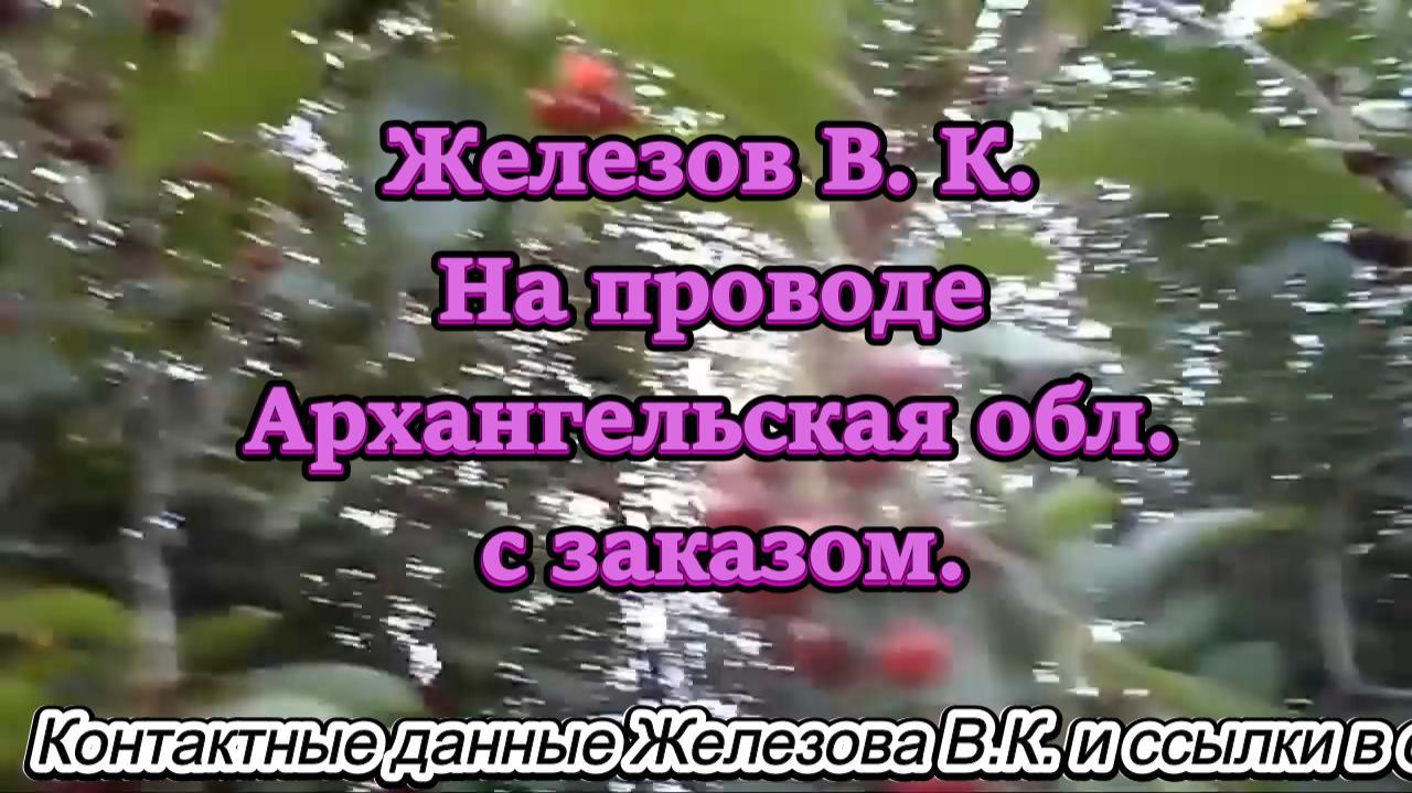 Железов В. К. На проводе Архангельская обл. с заказом. смотреть онлайн