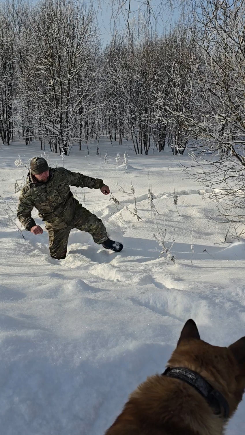 Пинать берёзы - древняя русская традиция. Что только ради фоточки в ленту не сделаешь! смотреть онлайн