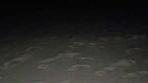 Пляж на острове Камаду ночью, Мальдивы, январь'26 (Beach in Kamadhoo at Night, Maldives, January'26)