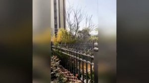 Идея для полива 👍