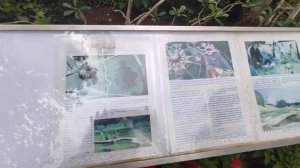 Приемная Матримандира город рассвета Ауровиль