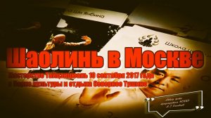 А.Г.Огнивцев НСНБР: Taichi Школы Цигун и Кунг-фу Шаолиня мастера Ши Янбина в Парке Северное Тушино.