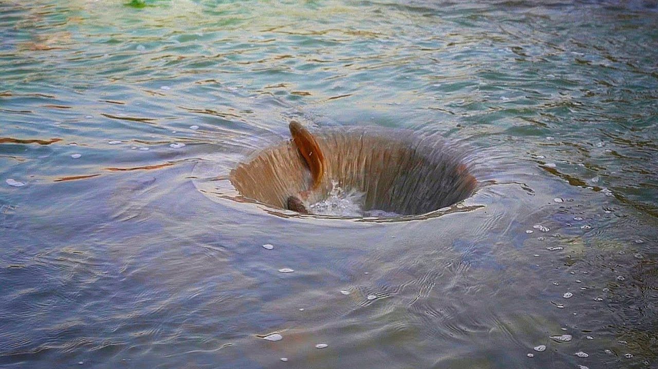 Рыбалка методом вихревого течения / Водоворот / Вихревой метод рыбалки / Невероятно смотреть онлайн