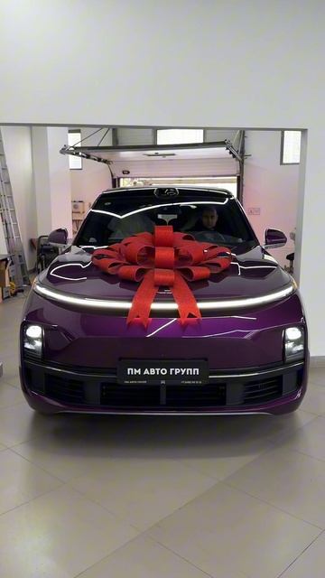 + 1 Довольная клиентка / Lixiang L9 уехал в Санкт-Петербург смотреть онлайн