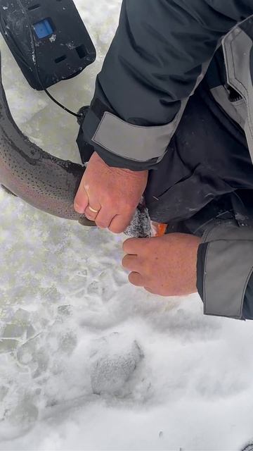 copy_C4F963F6-3BA3-47EA-BD1F-212FCA4E2F82 смотреть онлайн