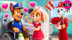 Щенячий патруль и Маршалл. Залипательное видео. Мультфильм для детей и малышей. Анимация 74