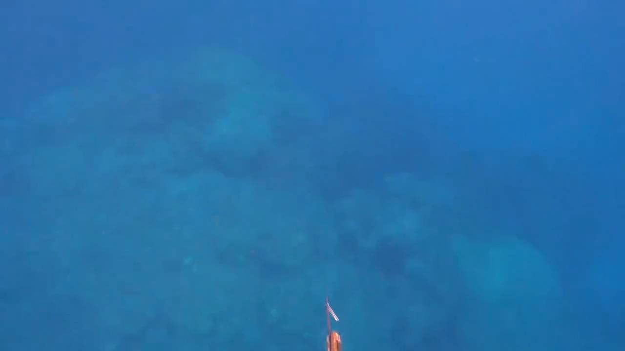 Подводная охота / Этот гигантский тревалли был просто слишком велик... смотреть онлайн