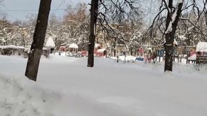 ПРИГЛАШАЕМ ДОМОСЕДА НА СВАДЬБУ, без такого клоуна она пройдет не весело, зефирки будут обязательно