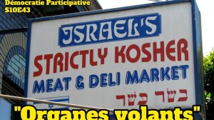 Démocratie Participative S10E43 : “Organes volants” [Flokossama]