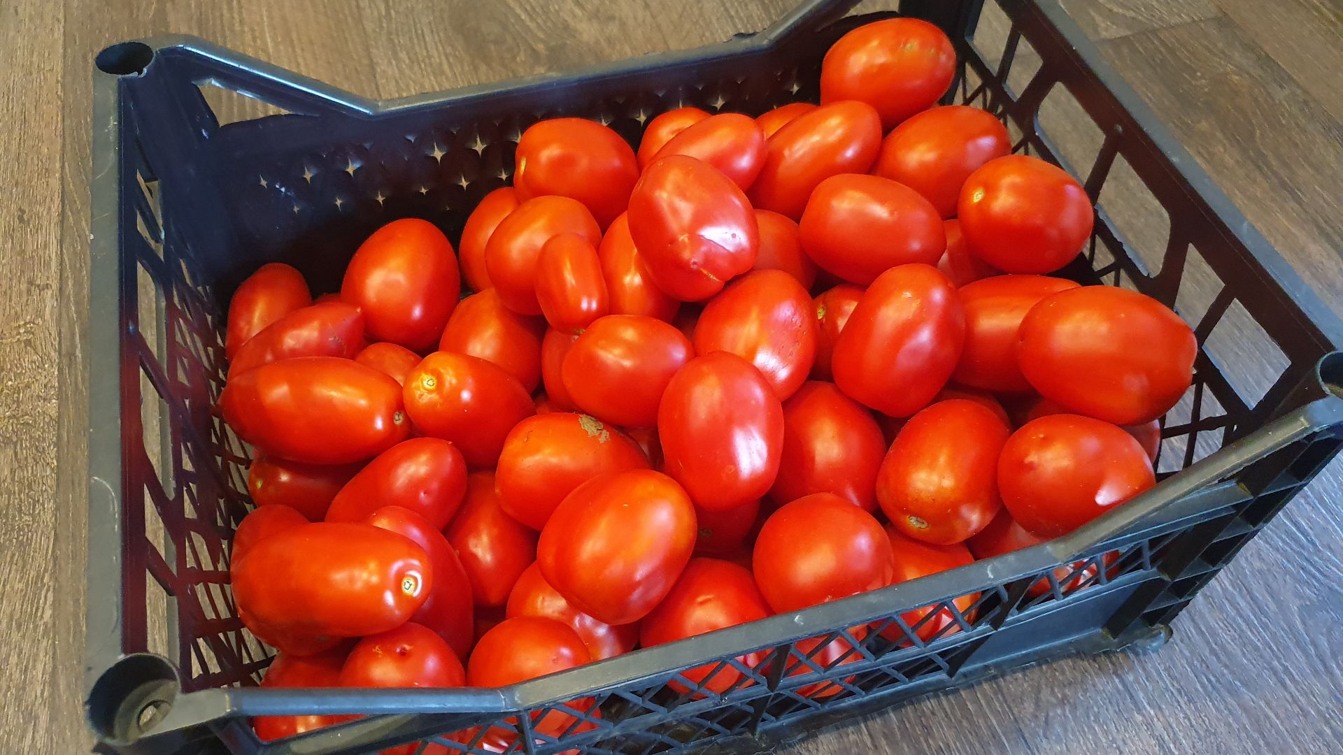 КЕЧКЕМЕТИ И САН МАРЦАНО МИНИ. ЛЕТНЕЕ ВИДЕО ОТ 5 АВГУСТА. смотреть онлайн