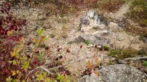 ПЕРКАЛЬСКАЯ  КАМЕНОЛОМНЯ, вид на Бештау, 2025г.  #пятигорск #бештау #кмв #кавказ