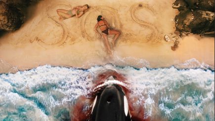 Кит-убийца - Трейлер (2026) смотреть онлайн