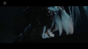 трейлер красавица 2026