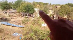 Участок кафе гостиница Окуневка Крым Тарханкут продажа.mp4