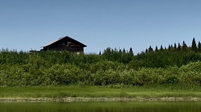 Одни в тайге. Кто-то был в избе. Ловим окуней. Ремонт избы. Часть 1. смотреть онлайн