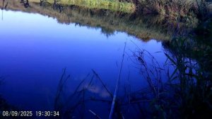 НА РЫБАЛКУ ПО НОВЫМ МЕСТАМ. Р. ПЫШМА