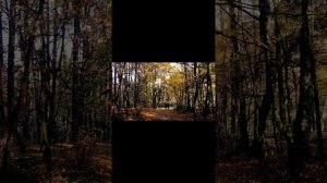 Любви я в зиму накоплю   Клип