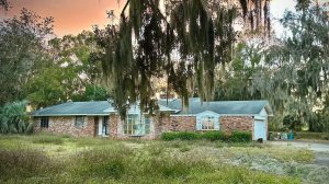 Новое место 🏕️