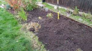 66-Дача .выкапываю флоксы. подготовка клумбы ..2 часть(18.09.-19.09.21.)