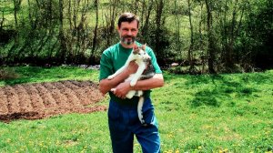 В майских полях