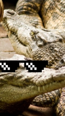 танцующий крокодил.mp4 смотреть онлайн