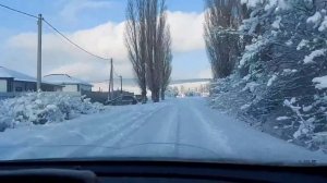 Станица Натухаевской после снегопада 16.01.26 г.