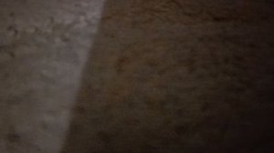 мне нечем заняться вообще мне пофиг