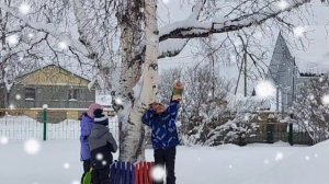 Помоги птицам