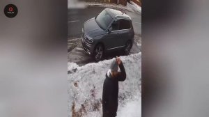 75 самых невероятных моментов, запечатлённых на камеру в дикой природе. Видео из интернета.