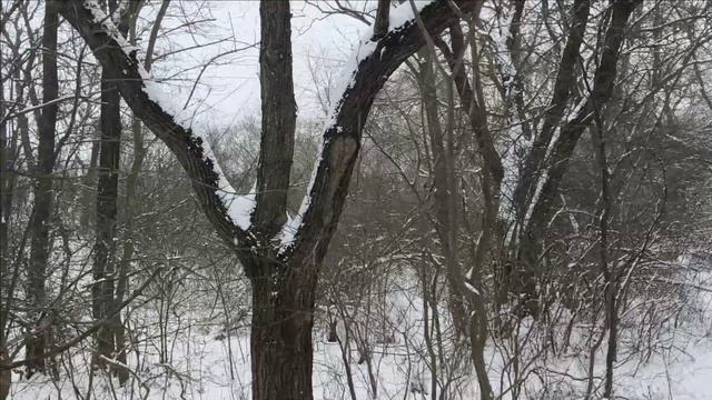 Керчь. Прогулка по заснеженному городу смотреть онлайн