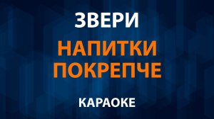 Звери - Напитки покрепче (Караоке)