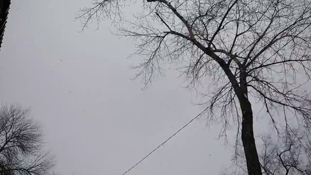 ЦЕНИТЕ КАЖДЫЙ ДЕНЬ, И КАЖДОЕ МГНОВЕНИЕ., ТАК НЕ БУДЕТ БОЛЬШЕ... смотреть онлайн