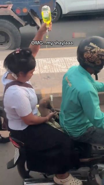 Как же это мило