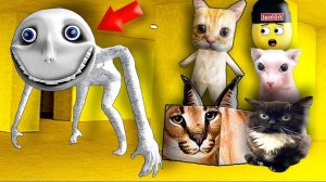 КОТЫ В ЗАКУЛИСЬЕ ПРОТИВ ЧЕЛОВЕКА ЗА ОКНОМ В ГАРРИС МОД! НУБАСТЕР