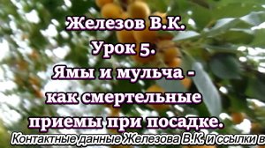 Железов В.К. Урок 5. Ямы и мульча - как смертельные приемы при посадке.