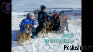 Путешествия с собакой. Восхождение на Кара-Баш (Татарстан). Кинолог Игорь Алтайский.