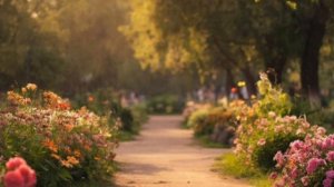 Поздняя любовь