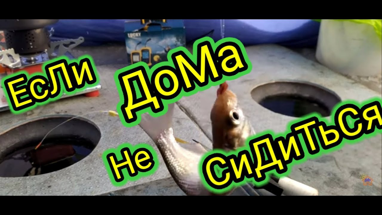 РыБаЛкА вЫхОдНоГо ДнЯ..Январская рыбалка смотреть онлайн